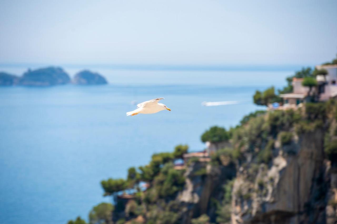 Casa Caprile Positano Bed and Breakfast Buitenkant foto